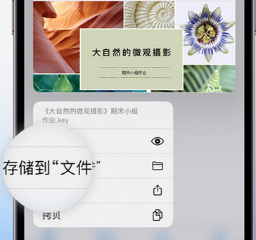 中方apple维修中心分享iPhone文件应用中存储和找到下载文件