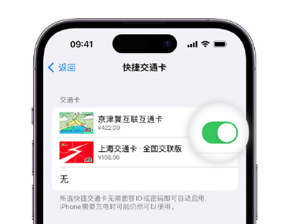 中方apple维修点分享iPhone上更换Apple Pay快捷交通卡手绘卡面 