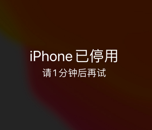 中方苹果手机维修分享:iPhone 显示“不可用”或“已停用”怎么办？还能保留数据吗？ 