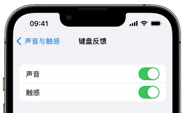 中方苹果手机维修分享iPhone 14触感键盘使用方法 