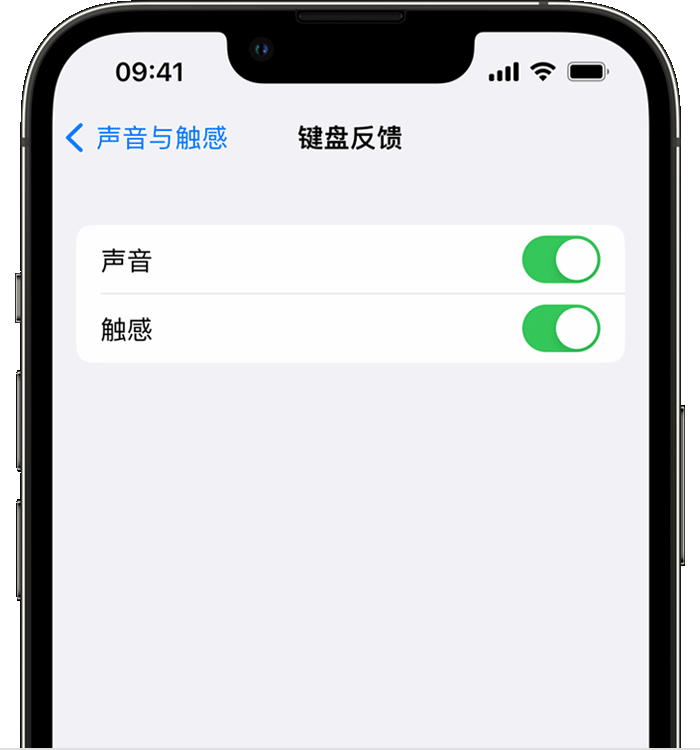 中方苹果14维修店分享如何在 iPhone 14 机型中使用触感键盘 