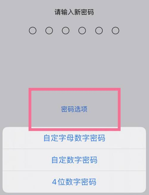 中方苹果14维修分享iPhone 14plus设置密码的方法 