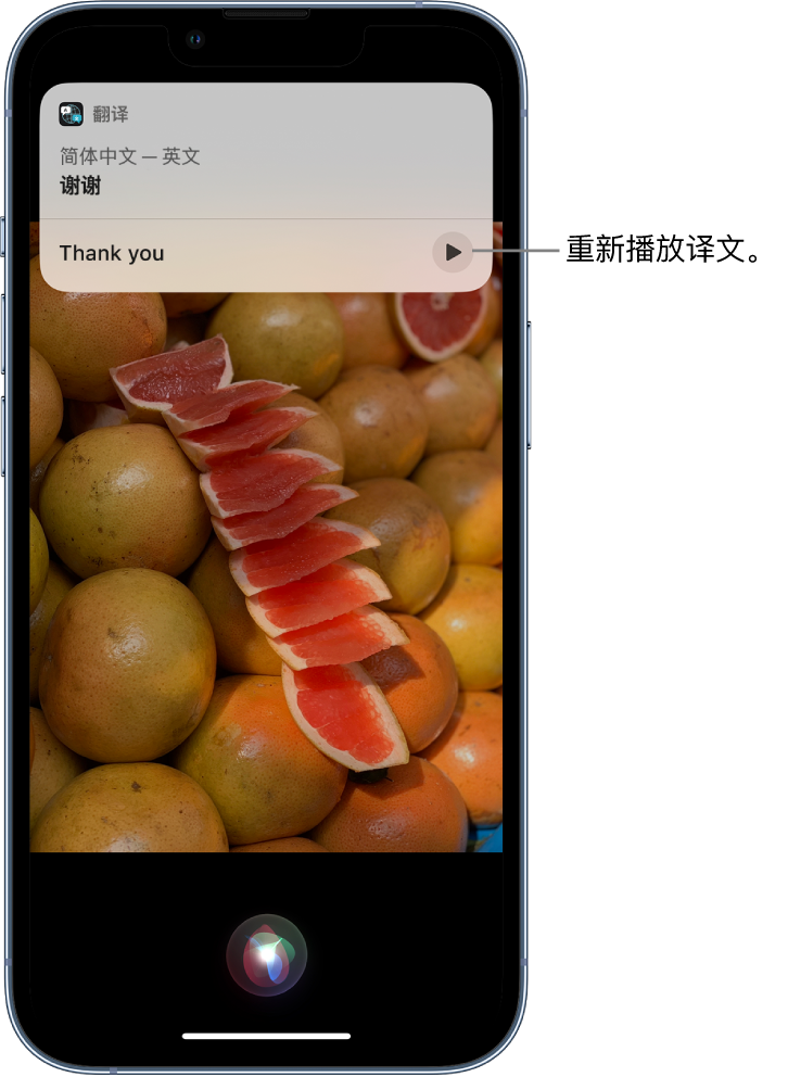 中方苹果14维修分享 iPhone 14 机型中使用 Siri：了解 Siri 能帮你做什么 