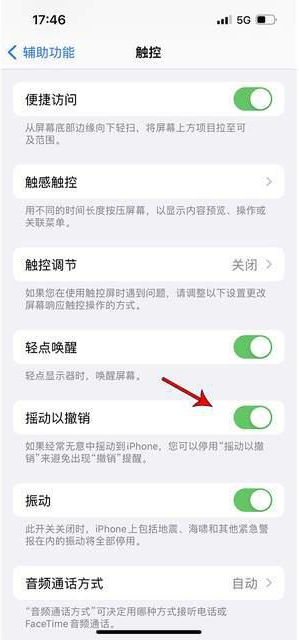 中方苹果手机维修分享iPhone手机如何设置摇一摇删除文字 