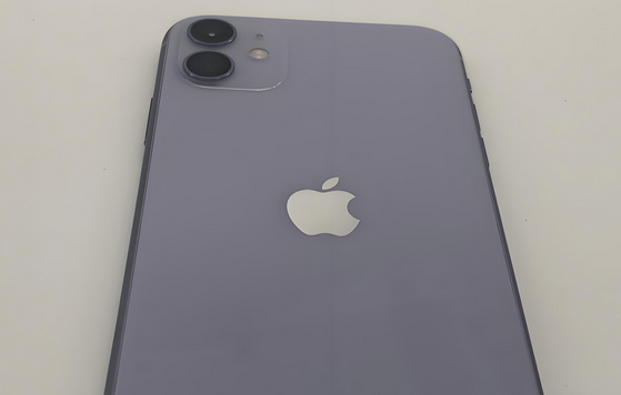 中方苹果11系统维修分享iPhone11手机系统崩溃无法开机如何解决 